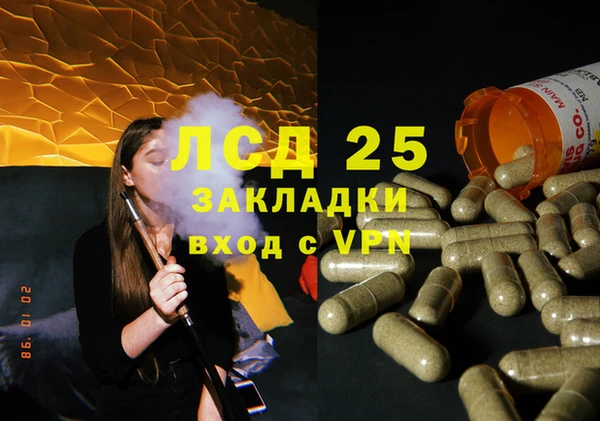 крисы Абаза