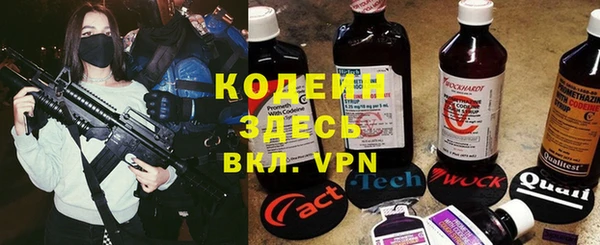 крисы Абаза