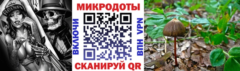 дарнет шоп  Урень  Галлюциногенные грибы MAGIC MUSHROOMS 